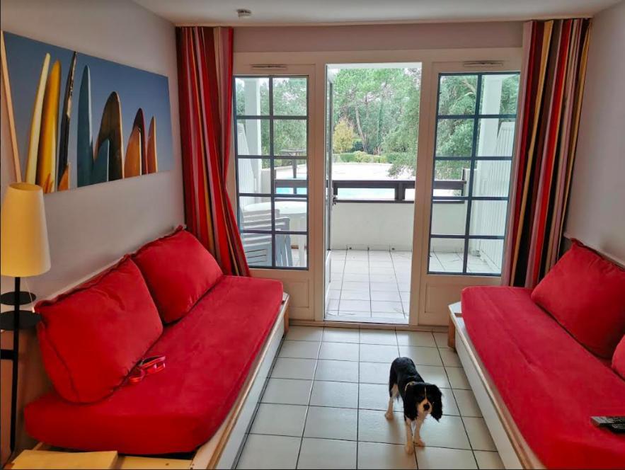 Great Condo Between Golf Course And Beach 莫列马阿 外观 照片